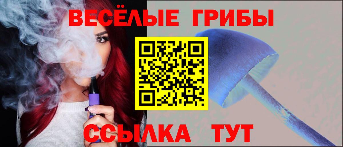 Псилоцибиновые грибы Psilocybine cubensis  Вход с VPN  Псилоцибиновые грибы мухоморы  Кириши 